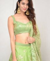 Pakistani Escort in Dubai +971556820247